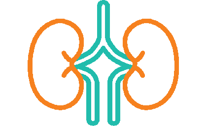 Nephrology and Urology